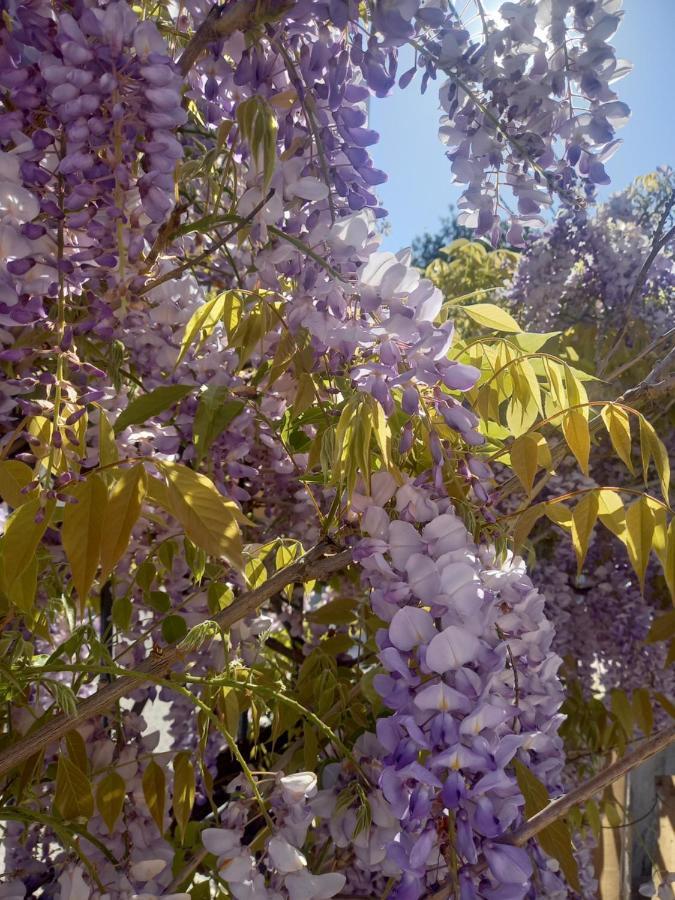 Lilac House Corfu  ภายนอก รูปภาพ
